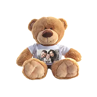 Teddy Bears: A brown teddy bear wearing a miniature t-shirt personalized with a family photo.