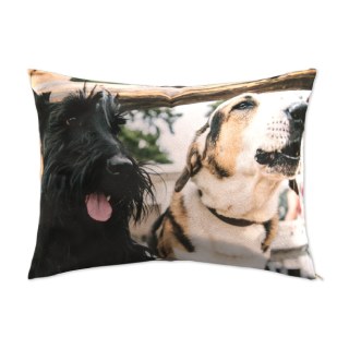 Pet Beds: A rectangular pet bed with a full-bleed photo of two different dogs.