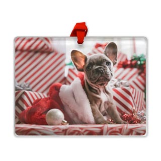 Ornaments: A rectangular Christmas ornament with a photo of a French Bulldog puppy and presents.