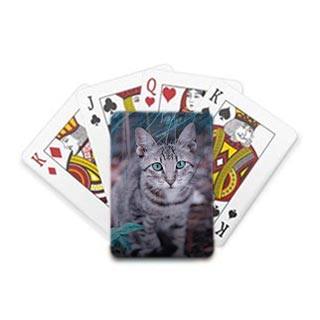 Playing Cards: A deck of playing cards with one card showing a custom back featuring a photo of a cat.