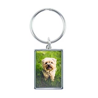 Keychain: A rectangular metal keychain with a photo of a small dog.