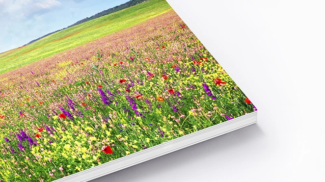 Shop Soft Cover Photo Books
