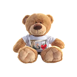 Custom Photo Teddy Bear: A brown plush bear wearing a personalized design t-shirt with a custom photo.