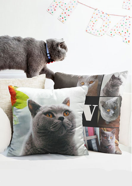 Pillows: Two personalized photo pillows with pictures of a cat, sitting on a sofa.