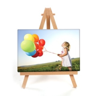 4x6 Mini Photo Canvas displayed on a miniature easel.