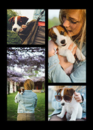 5x7 Greeting Card, Glossy, Blank Envelope with Custom Color Collage design