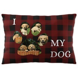 14x20 Throw Pillow with I Paw My Dog Plaid design