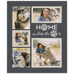 50x60 Plush Fleece Blanket with Where the Paw is design