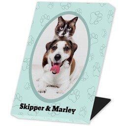 Same Day Desk Canvas 5" x 7" with Playful Pets design