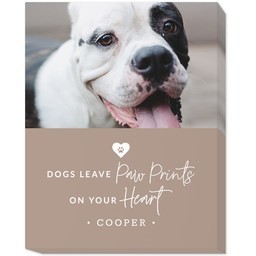 11x14 Photo Canvas with Pet Sympathy design