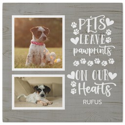 8x8 Gallery Wrap Photo Canvas with Rustic Pawprint design