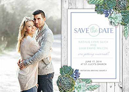 5x7 Greeting Card, Matte, Blank Envelope with Lovely Succulents design