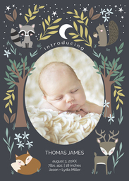 5x7 Greeting Card, Glossy, Blank Envelope with Woodland Creatures design