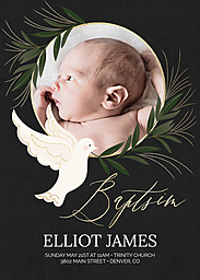 5x7 Greeting Card, Glossy, Blank Envelope with Love's First Flight design