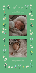 4x8 Greeting Card, Glossy, Blank Envelope with Sunday in the Garden design