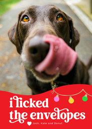 5x7 Greeting Card, Glossy, Blank Envelope with I Licked the Envelopes design