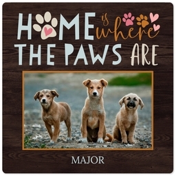 High Gloss Easel Print 5x5 with Where the Paws Are design