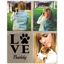 Metal Print 8x10 with Natural Pet Love design