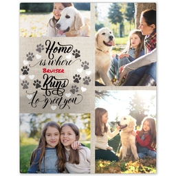 Metal Print 8x10 with Pets Running To Greet You design