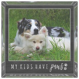 4x4 Glossy Acrylic Block with Paws design