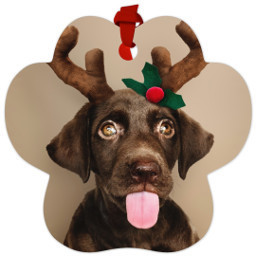 Paw Metal Ornament with Full Photo design