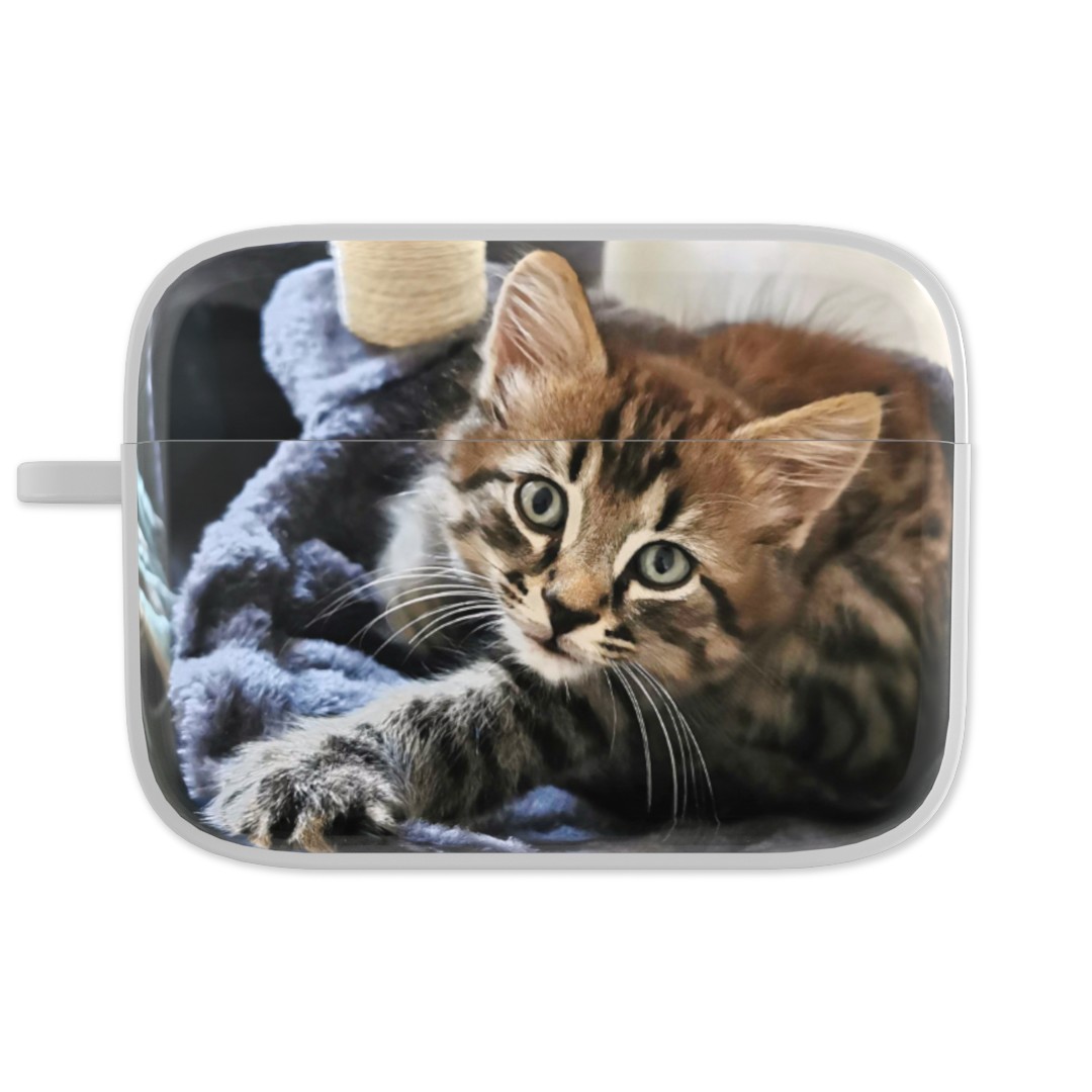 AirPods Pro Case: An AirPods Pro case personalized with a full wrap-around photo of a kitten.
