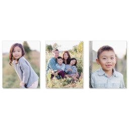 Medium Canvas Trio with Full Photo design
