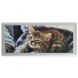 Power bank 10000mAh - Silver with Full Photo design