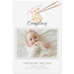 Same Day Magnet 4x6 with Sweet Dumpling design