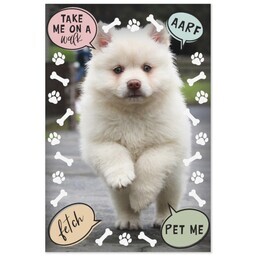 Same Day Magnet 4x6 with Doggy Bubbles design