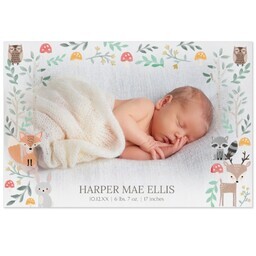 Same Day Magnet 4x6 with Forest Friends design