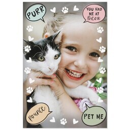 Same Day Magnet 4x6 with Kitty Bubbles design