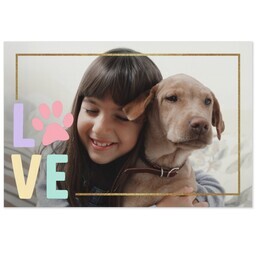 Same Day Magnet 4x6 with Paw Love design