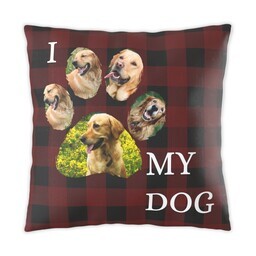 16x16 Photo Pillow with I Paw My Dog design