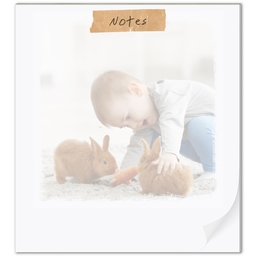 Notepad with Organic Notes design