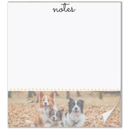 Notepad with Polka Dots design