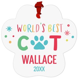 Paw Metal Ornament with Best Cat design