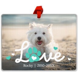 Rectangle Acrylic Photo Ornament with Love Paw Blue design