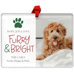 Rectangle Acrylic Photo Ornament with Furry and Bright design