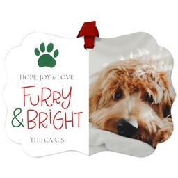 Personalized Metal Ornament - Scalloped with Furry and Bright design