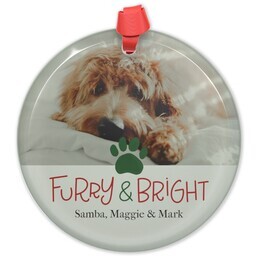 Circle Acrylic Ornament with Furry and Bright design