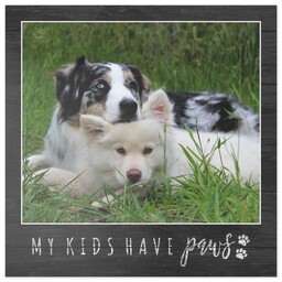 16x16 Xchange Print with Paws design