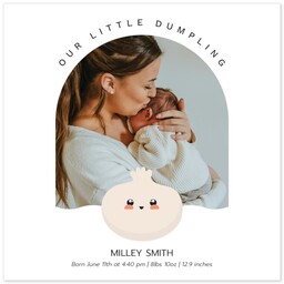 Poster, 12x12, Glossy Poster Paper with Little Dumpling design