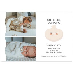 3.5x5 Same-Day Postcard with Little Dumpling design