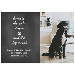 3.5x5 Same-Day Postcard with The Dog Moved design