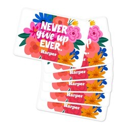 Rectangle Sticker 3"x2" - Set of 6 with Never Give Up design
