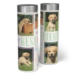 17oz Stainless Steel Matte Water Bottle with Four Pawed Friend design