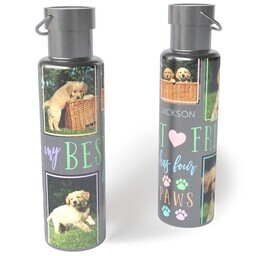 26oz Stainless Steel Loop Lid Bottle with Four Pawed Friend design