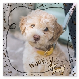 TilePix Glass 8.25x8.25 with Good Boy! design