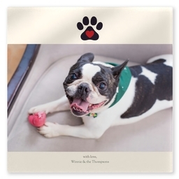 TilePix Glass 8.25x8.25 with I Heart Pets design